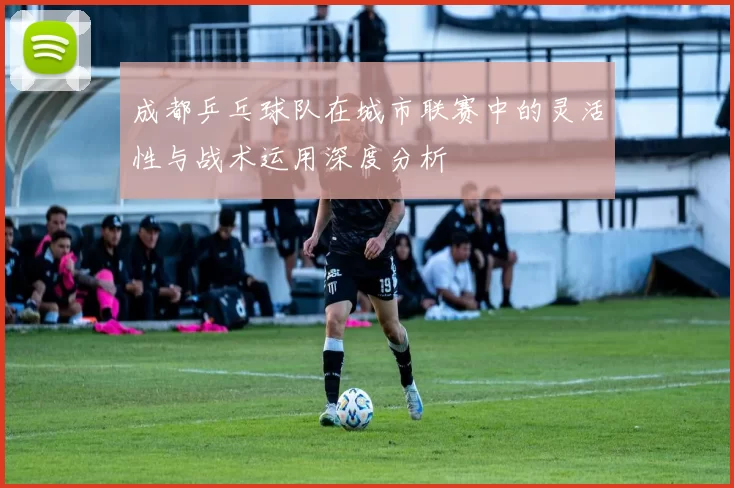 成都乒乓球队在城市联赛中的灵活性与战术运用深度分析