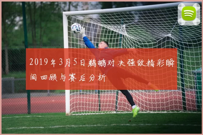 2019年3月5日鹈鹕对决强敌精彩瞬间回顾与赛后分析