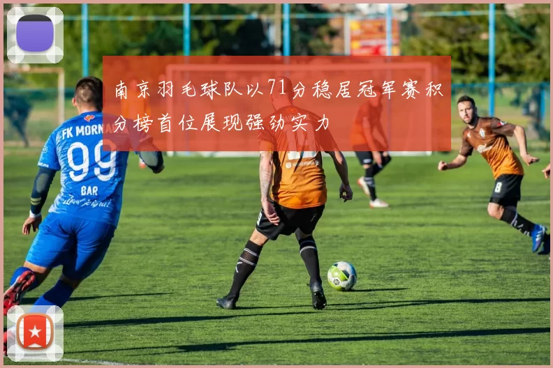 南京羽毛球队以71分稳居冠军赛积分榜首位展现强劲实力