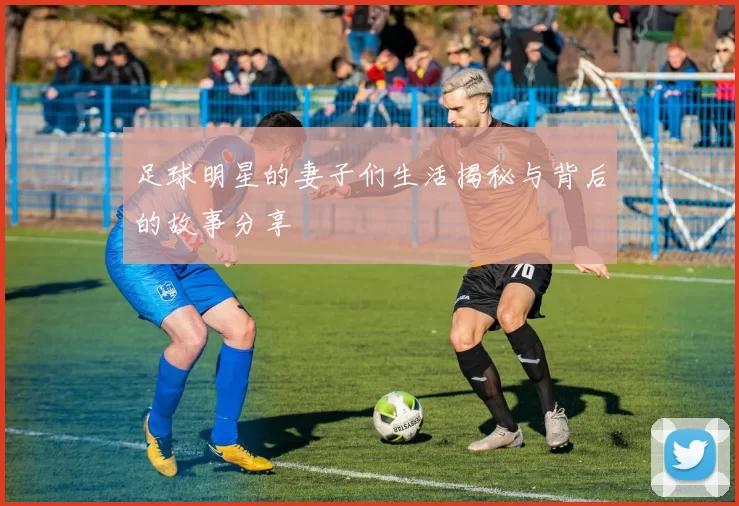 足球明星的妻子们生活揭秘与背后的故事分享