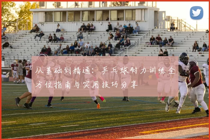 从基础到精通：乒乓球耐力训练全方位指南与实用技巧分享