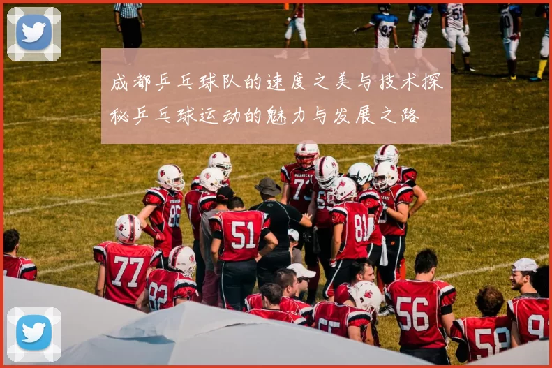 成都乒乓球队的速度之美与技术探秘乒乓球运动的魅力与发展之路