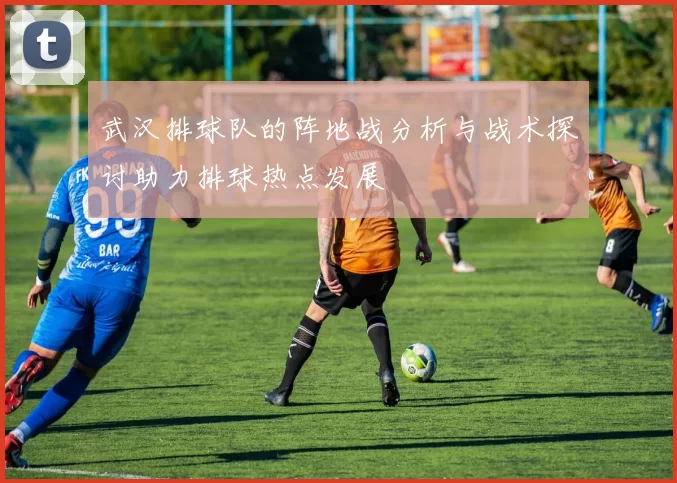 武汉排球队的阵地战分析与战术探讨助力排球热点发展