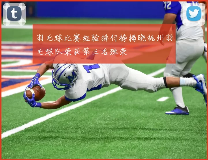 羽毛球比赛经验排行榜揭晓杭州羽毛球队荣获第三名殊荣
