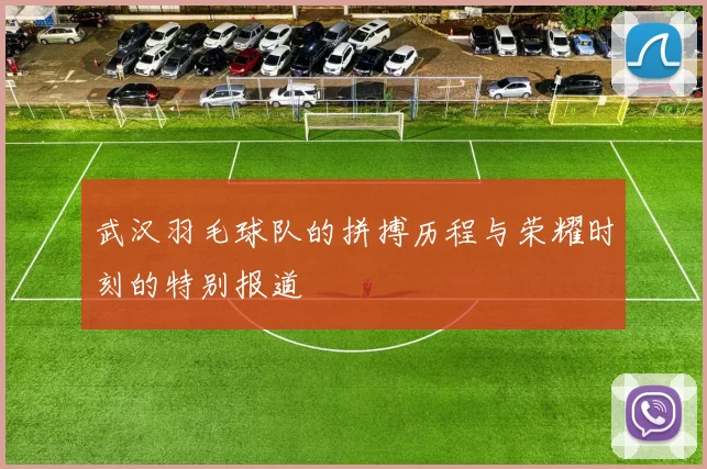 武汉羽毛球队的拼搏历程与荣耀时刻的特别报道