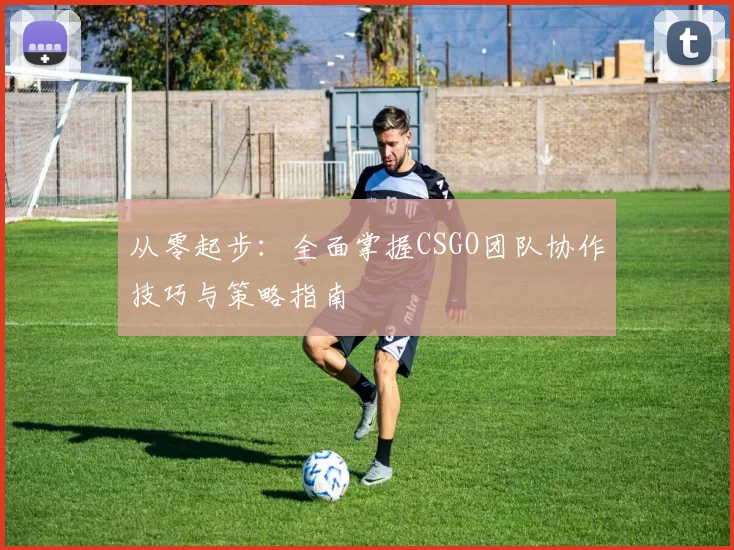 从零起步：全面掌握CSGO团队协作技巧与策略指南