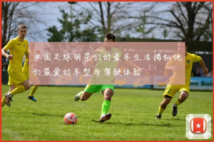 中国足球明星们的豪车生活揭秘他们最爱的车型与驾驶体验