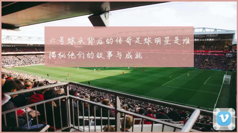 六号球衣背后的传奇足球明星是谁揭秘他们的故事与成就