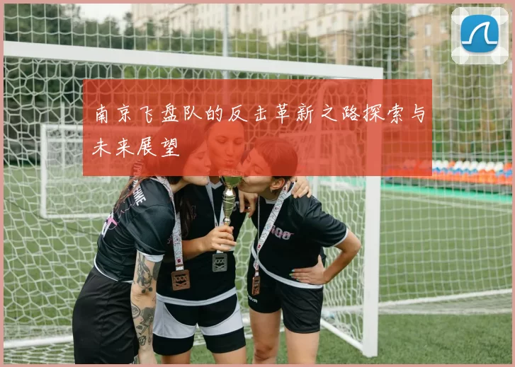南京飞盘队的反击革新之路探索与未来展望