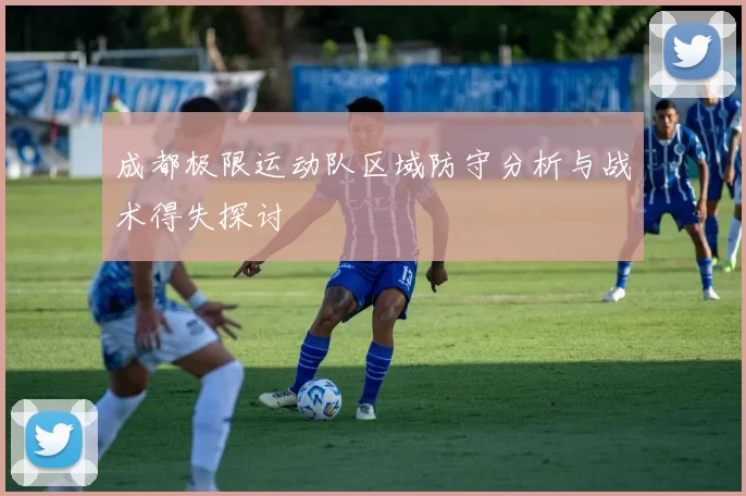成都极限运动队区域防守分析与战术得失探讨