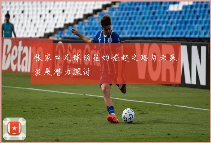 张家口足球明星的崛起之路与未来发展潜力探讨