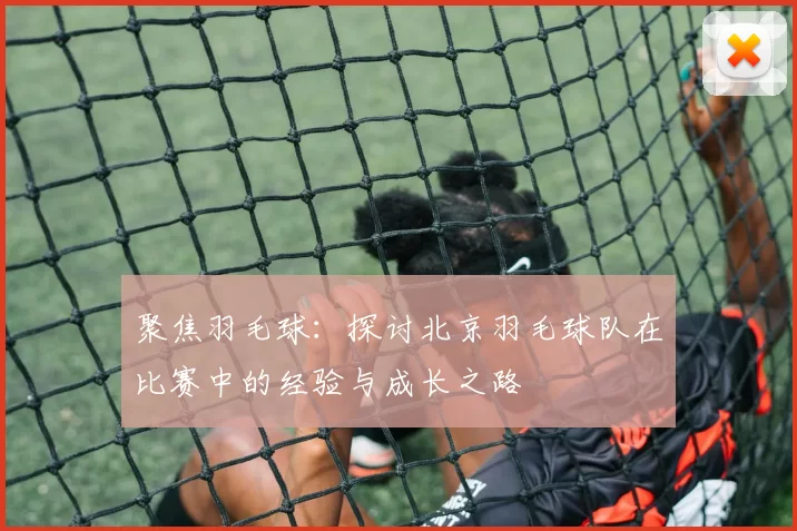 聚焦羽毛球：探讨北京羽毛球队在比赛中的经验与成长之路