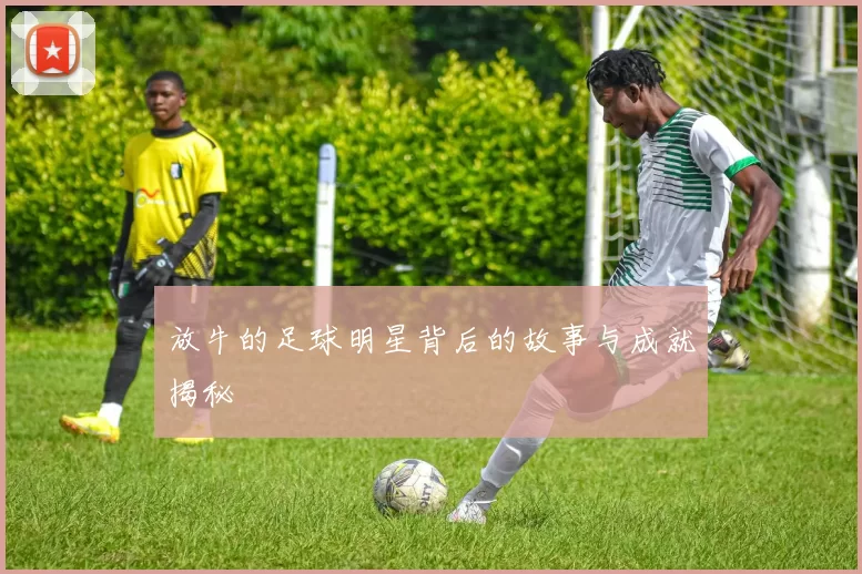 放牛的足球明星背后的故事与成就揭秘