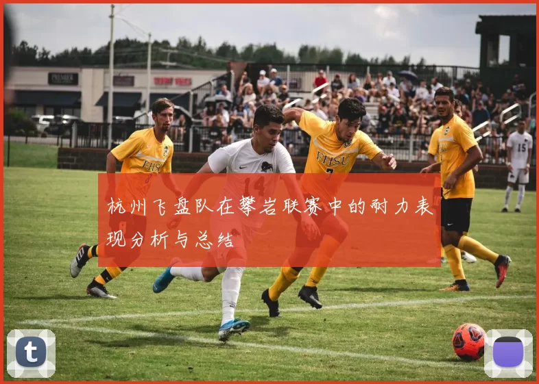 杭州飞盘队在攀岩联赛中的耐力表现分析与总结