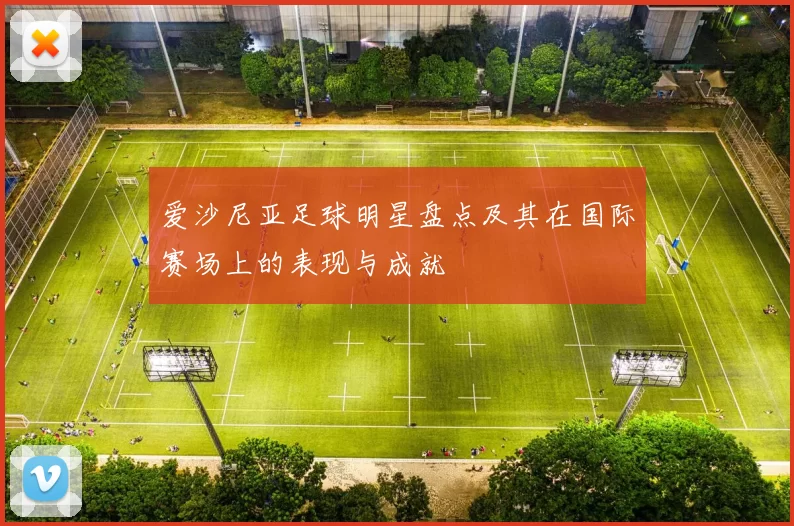 爱沙尼亚足球明星盘点及其在国际赛场上的表现与成就