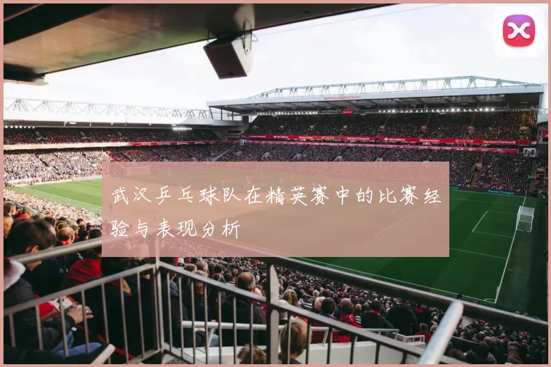 武汉乒乓球队在精英赛中的比赛经验与表现分析