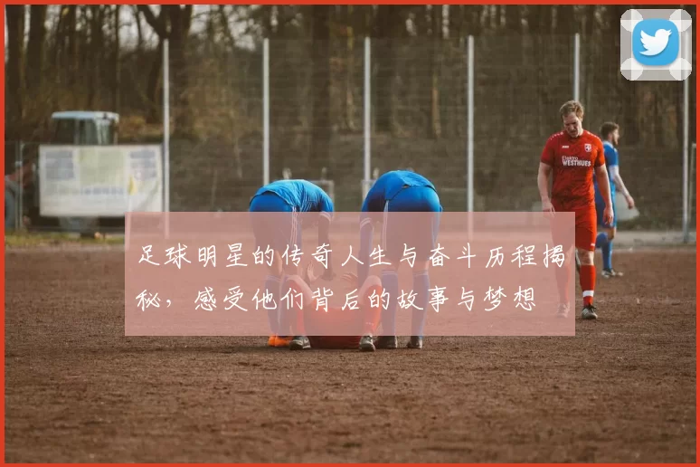 足球明星的传奇人生与奋斗历程揭秘，感受他们背后的故事与梦想