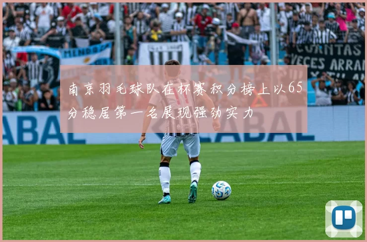 南京羽毛球队在杯赛积分榜上以65分稳居第一名展现强劲实力