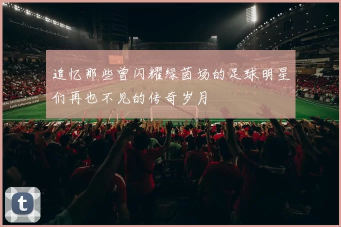 追忆那些曾闪耀绿茵场的足球明星们再也不见的传奇岁月