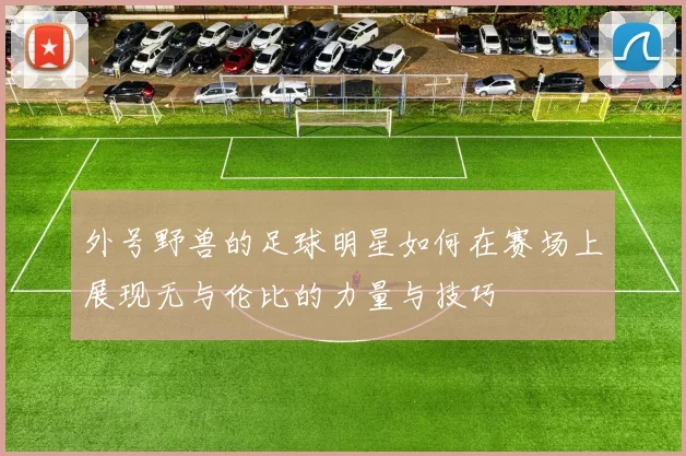 外号野兽的足球明星如何在赛场上展现无与伦比的力量与技巧