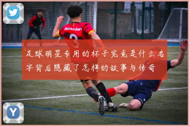 足球明星专用的杯子究竟是什么名字背后隐藏了怎样的故事与传奇