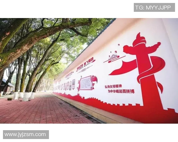 深圳排球队的崛起与挑战：全面解析其背后的实力与发展潜力