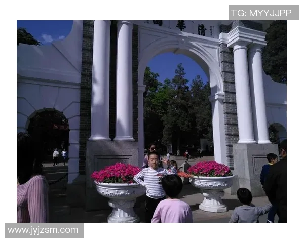 北京排球队的拼搏历程与荣耀时刻全景纪实